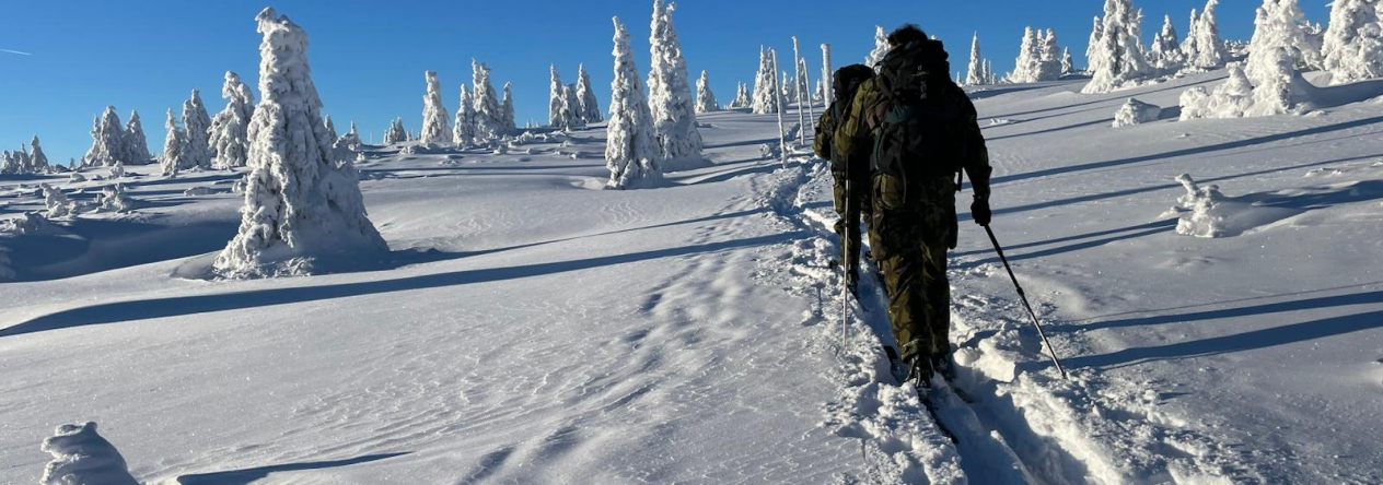 Vojenská policie trénovala přesuny na sněhu a ledu