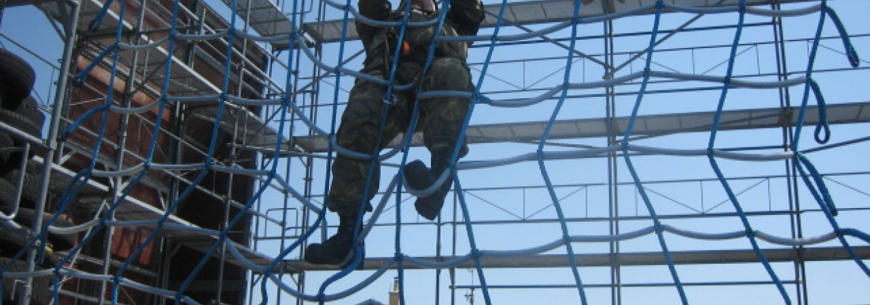 317.jpg