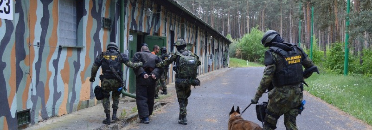 7_odsun_pachatelu_na_shromazdiste.jpg
