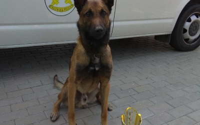 img-20190628-wa0003_-_kopie.jpg