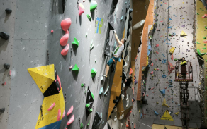 Bronz ve sportovním lezení