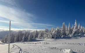 Vojenská policie trénovala přesuny na sněhu a ledu
