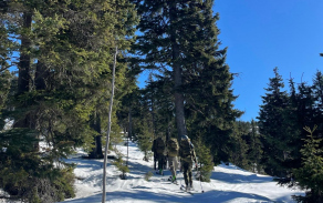 Vojenská policie trénovala přesuny na sněhu a ledu