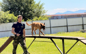 Mistrovství ve výkonu psovodů a služebních psů ve speciální kynologii Vojenské policie Slovenské republiky
