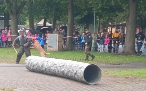 Den s Armádou ČR a složkami IZS - České Budějovice 