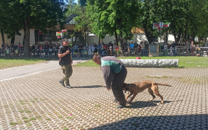 Den s Armádou ČR a složkami IZS - České Budějovice 