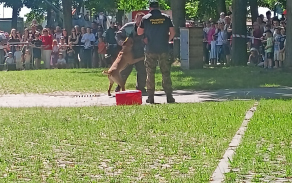 Den s Armádou ČR a složkami IZS - České Budějovice 