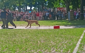 Den s Armádou ČR a složkami IZS - České Budějovice 