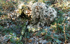 Činnost PohOD v roce 2011