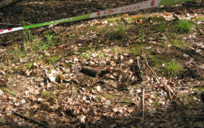 Oddělení obecné kriminality - pyrotechnici