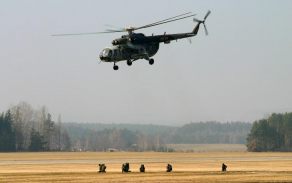 177.jpg