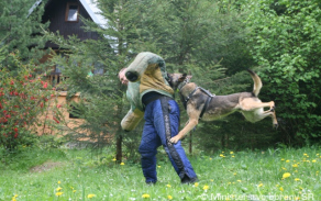 193.jpg