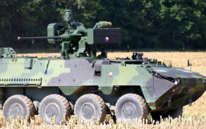 235.jpg
