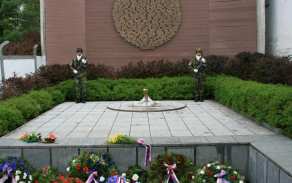 316.jpg