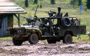 417.jpg