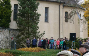 464.jpg