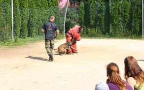 470.jpg
