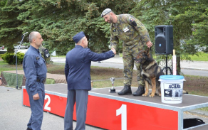 539.jpg