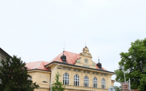 551.jpg