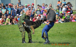 dsc_0144.jpg