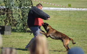 dsc_4572.jpg