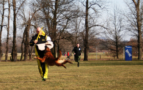 img_4664.jpg