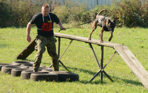 Kynologická služba